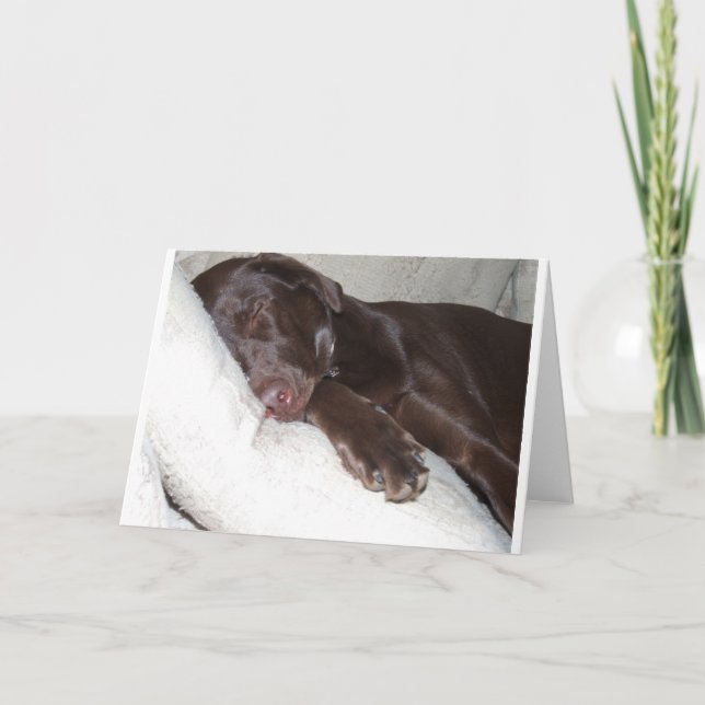 Sleeping Beauty Card (Front)