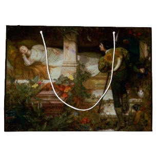 Sleeping Beauty (Loving Romantic Fairy Tale Scene) Large Gift Bag