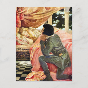Sleeping Beauty Postcard