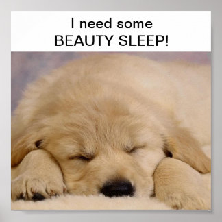 SLEEPING BEAUTY POSTER