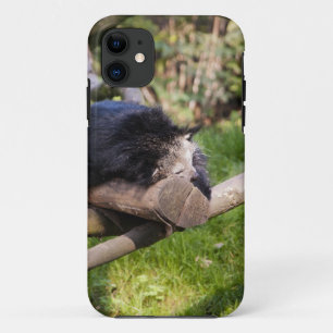 Sleeping Binturong iPhone 11 Case