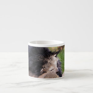 Sleeping Binturong Espresso Cup