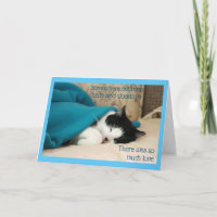 Sleeping Black and White Cat