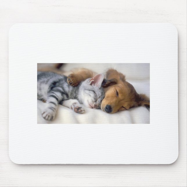 Sleeping Buddies Mouse Mat (Front)