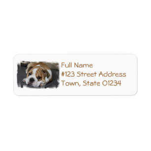 Sleeping Bulldog Address Labels