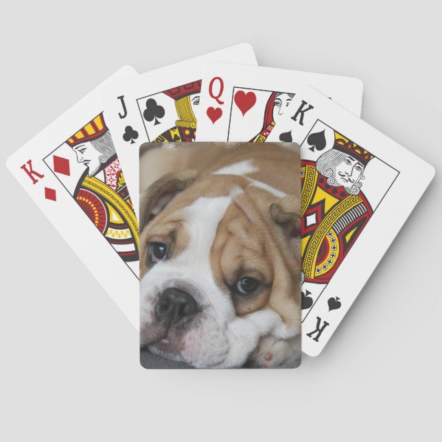Sleeping Bulldog Deck of Cards (Back)