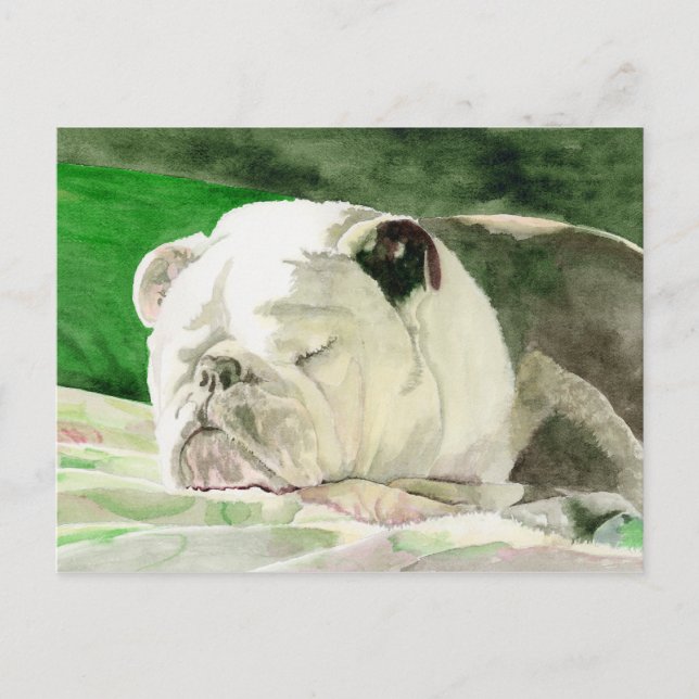 Sleeping Bulldog Postcard (Front)