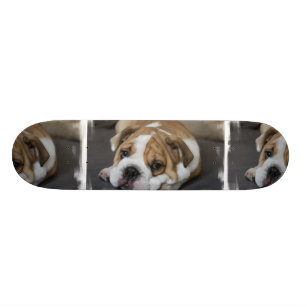 Sleeping Bulldog Skateboard