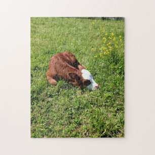 Sleeping Calf Jigsaw Puzzle