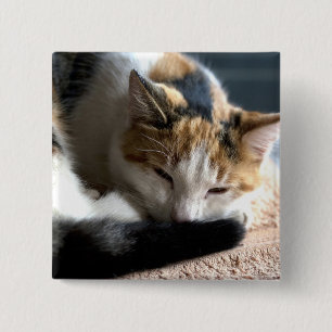 Sleeping Calico 15 Cm Square Badge