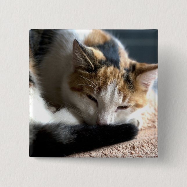 Sleeping Calico 15 Cm Square Badge (Front)