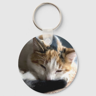 Sleeping Calico Cat Key Ring