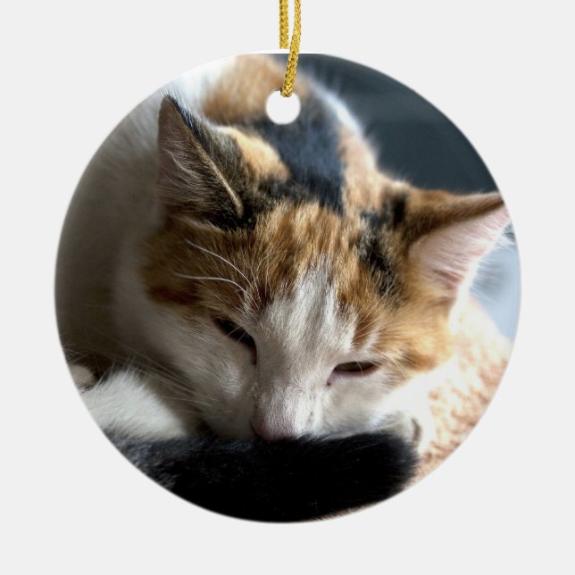Sleeping Calico Ceramic Tree Decoration (Front)