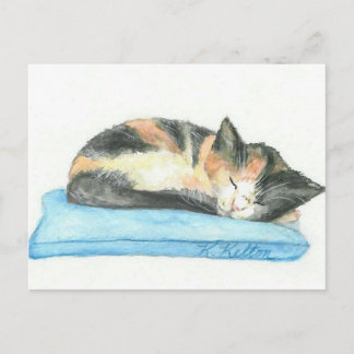 Sleeping Calico Kitten Postcard