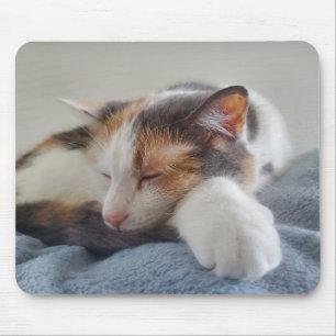 Sleeping calico mouse mat