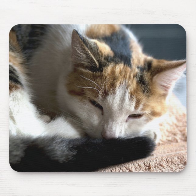 Sleeping Calico Mouse Mat (Front)