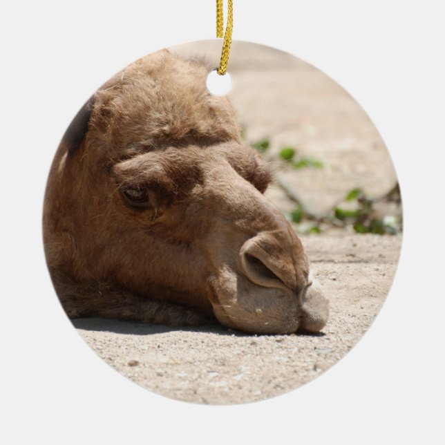 Sleeping Camel Ceramic Tree Decoration (Front)