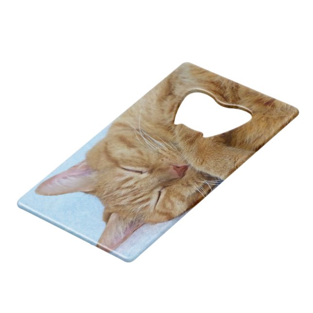 Sleeping Cat (Front Angled)