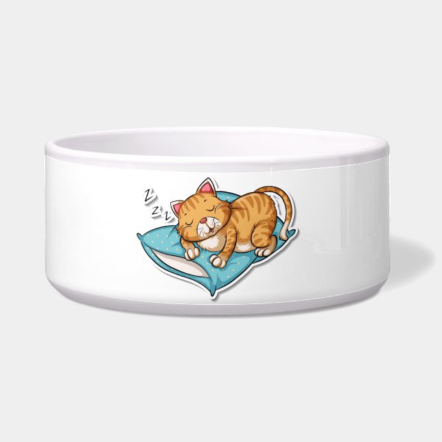 Sleeping cat (Front)