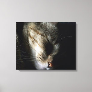 Sleeping Cat 20"x16" Canvas Print
