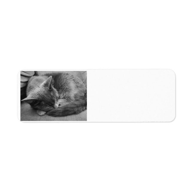 Sleeping cat address labels (Front)