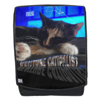 Sleeping Cat
