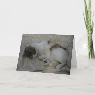Sleeping Cat Blank Greeting Card