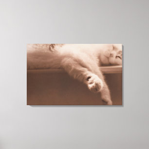 Sleeping Cat Canvas Print