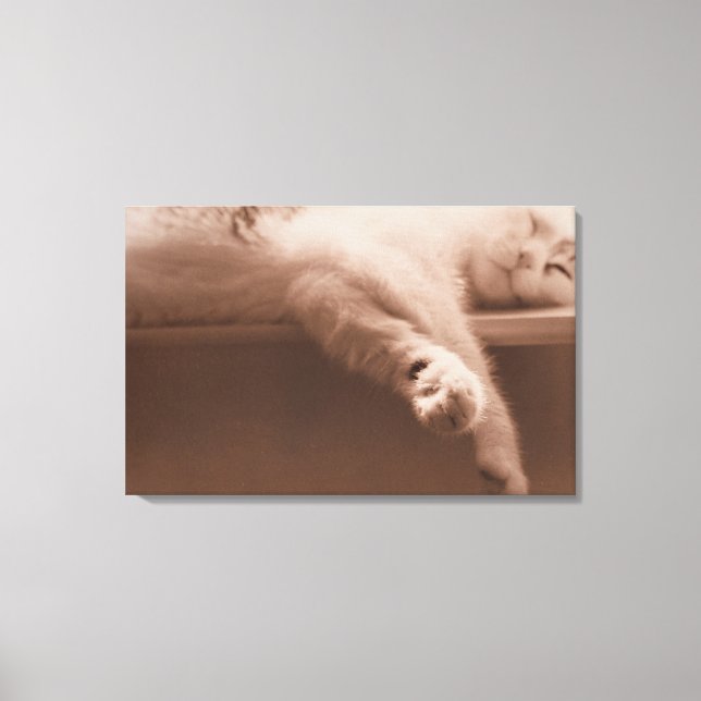 Sleeping Cat Canvas Print (Front)