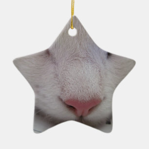 Sleeping Cat Ceramic Tree Decoration