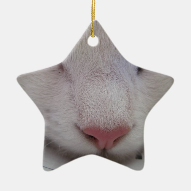 Sleeping Cat Ceramic Tree Decoration (Front)