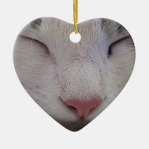 Sleeping Cat Ceramic Tree Decoration