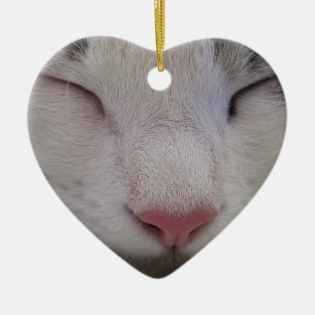 Sleeping Cat Ceramic Tree Decoration (Front)