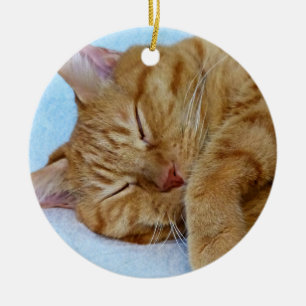 Sleeping Cat Ceramic Tree Decoration