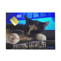 Sleeping Cat