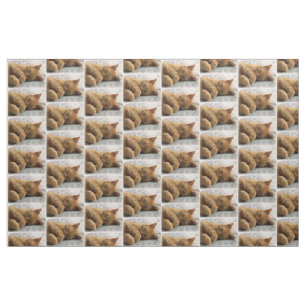 Sleeping Cat Fabric