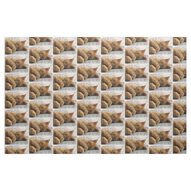 Sleeping Cat Fabric (Fat Quarter)