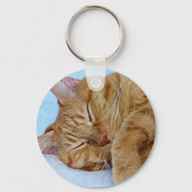 Sleeping Cat Key Ring (Front)