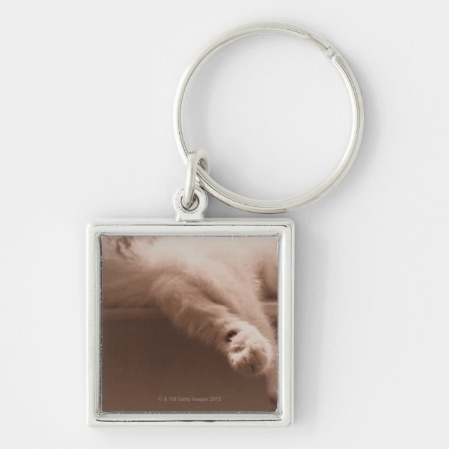 Sleeping Cat Key Ring (Front)