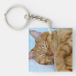 Sleeping Cat Key Ring