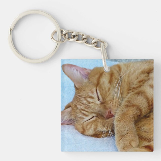 Sleeping Cat Key Ring (Front)