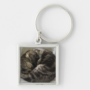Sleeping cat key ring