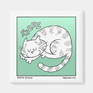 Sleeping Cat Magnet