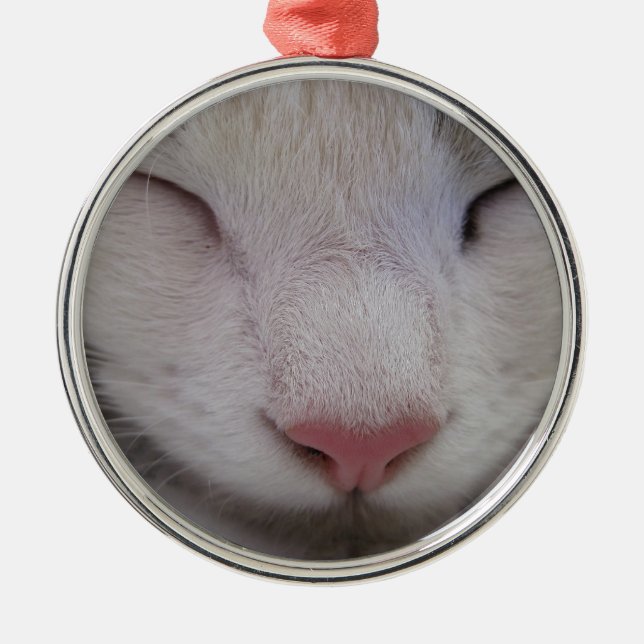 Sleeping Cat Metal Tree Decoration (Front)