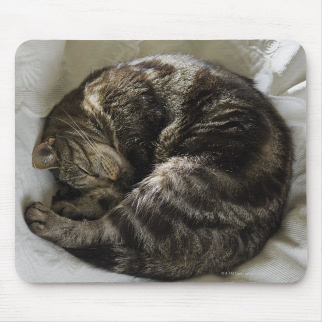 Sleeping cat mouse mat (Front)