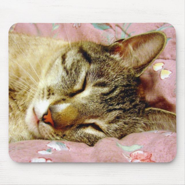 Sleeping Cat Mouse Mat (Front)