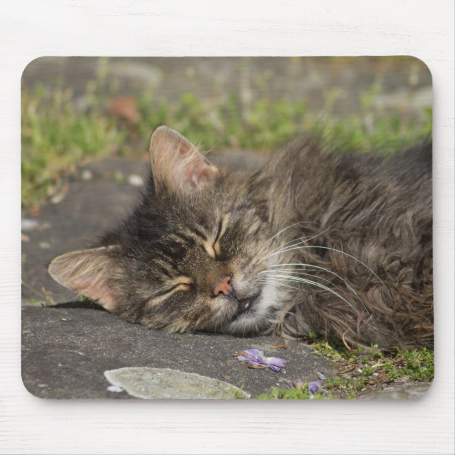 Sleeping Cat Mouse Mat (Front)