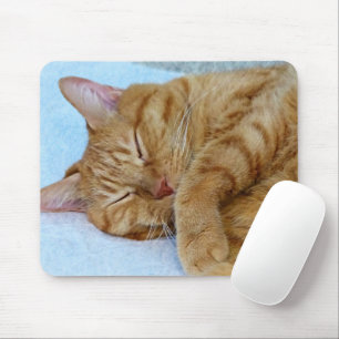 Sleeping Cat Mouse Mat