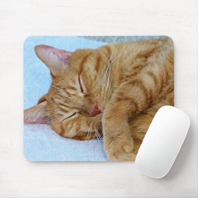 Sleeping Cat Mouse Mat (With Mouse)