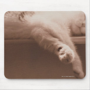 Sleeping Cat Mouse Mat